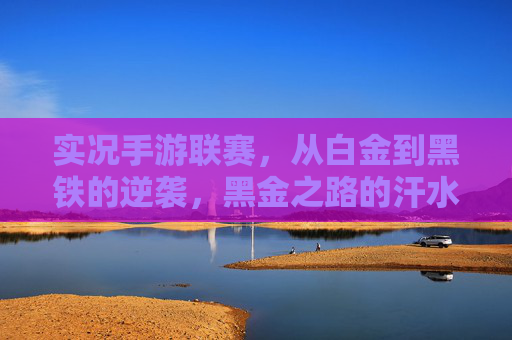 实况手游联赛,从白金到黑铁的逆袭,黑金之路的汗水与荣耀,实况手游联赛,从白金到黑铁的逆袭,黑金之路的汗水与荣耀