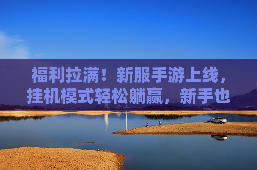 福利拉满!新服手游上线,挂机模式轻松躺赢,新手也能轻松拿收益