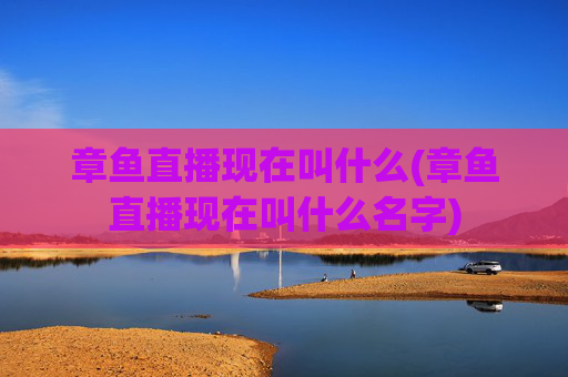 章鱼直播现在叫什么(章鱼直播现在叫什么名字)