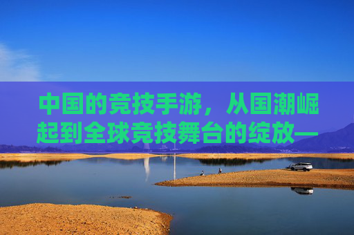 中国的竞技手游,从国潮崛起到全球竞技舞台的绽放——回应有中国的竞技手游嘛,中国竞技手游,从国潮崛起到全球竞技舞台的绽放