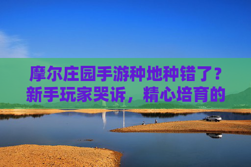 摩尔庄园手游种地种错了?新手玩家哭诉,精心培育的作物竟成了无用的烦恼,摩尔庄园手游种地种错?新手精心培育作物竟成无用烦恼