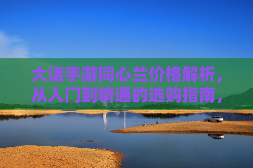 大话手游同心兰价格解析,从入门到精通的选购指南,大话手游同心兰价格解析,从入门到精通的选购指南