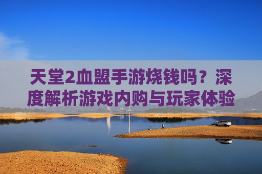 天堂2血盟手游烧钱吗？深度解析游戏内购与玩家体验，天堂2血盟手游烧钱吗？内购机制与玩家体验深度解析