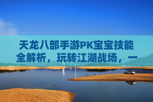 天龙八部手游PK宝宝技能全解析,玩转江湖战场,一招制敌的神兽秘籍