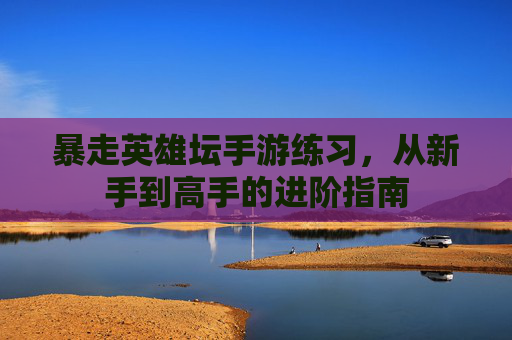 暴走英雄坛手游练习，从新手到高手的进阶指南
