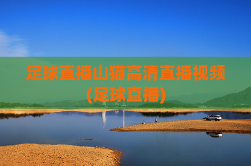 足球直播山猫高清直播视频(足球直播)