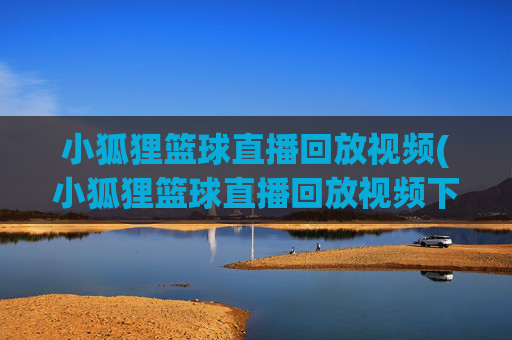 小狐狸篮球直播回放视频(小狐狸篮球直播回放视频下载)