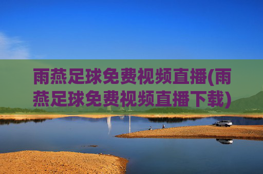 雨燕足球免费视频直播(雨燕足球免费视频直播下载)