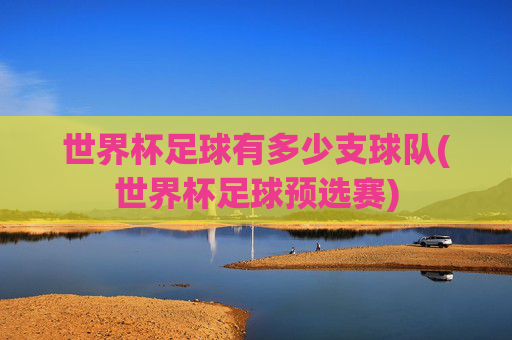 世界杯足球有多少支球队(世界杯足球预选赛)