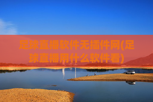 足球直播软件无插件网(足球直播用什么软件看)