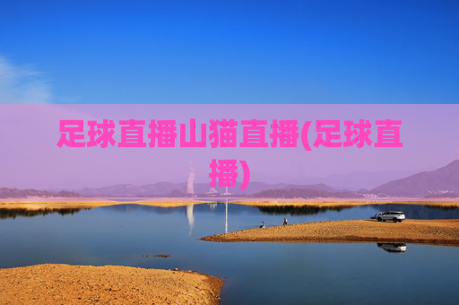 足球直播山猫直播(足球直播)