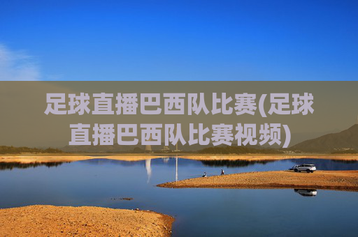 足球直播巴西队比赛(足球直播巴西队比赛视频)