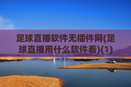 足球直播软件无插件网(足球直播用什么软件看)(1)