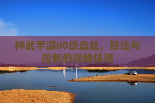神武手游80级盘丝,妖法与控制的巅峰体现