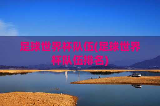 足球世界杯队伍(足球世界杯队伍排名)
