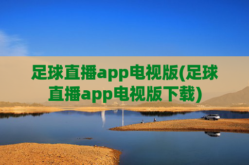 足球直播app电视版(足球直播app电视版下载)