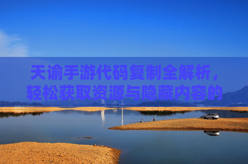 天谕手游代码复制全解析，轻松获取资源与隐藏内容的实用指南，天谕手游代码复制全解析，轻松获取资源与隐藏内容的实用指南