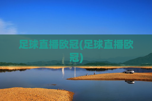 足球直播欧冠(足球直播欧冠)