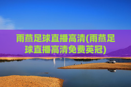 雨燕足球直播高清(雨燕足球直播高清免费英冠)