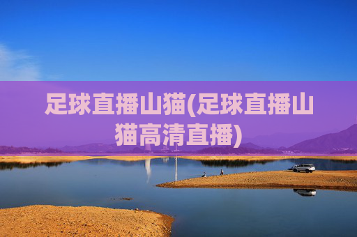 足球直播山猫(足球直播山猫高清直播)