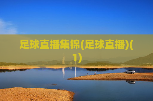 足球直播集锦(足球直播)(1)