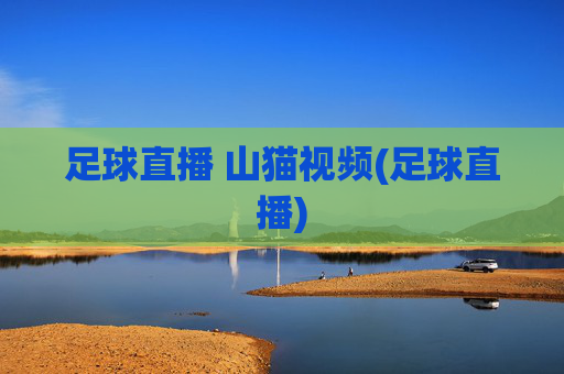 足球直播 山猫视频(足球直播)