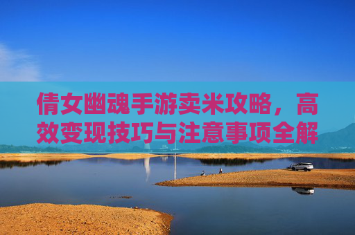 倩女幽魂手游卖米攻略，高效变现技巧与注意事项全解析，倩女幽魂手游卖米攻略，高效变现技巧与注意事项全解析