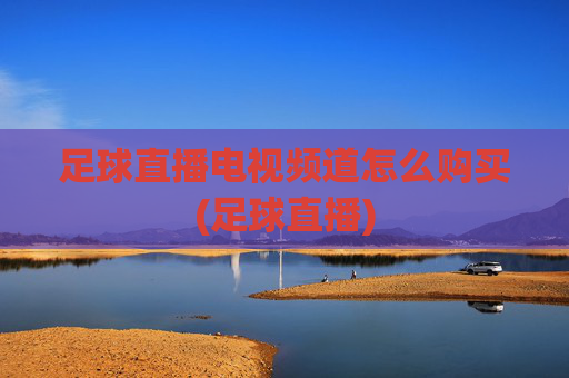足球直播电视频道怎么购买(足球直播)