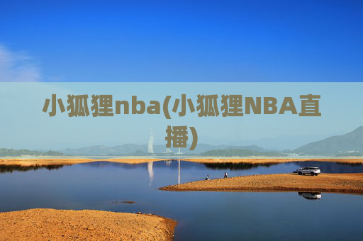 小狐狸nba(小狐狸NBA直播)