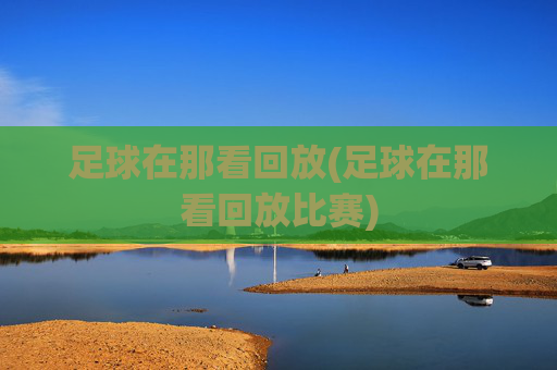 足球在那看回放(足球在那看回放比赛)