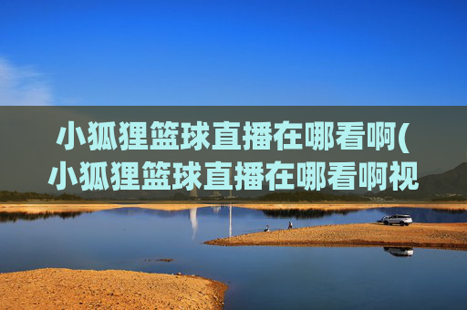 小狐狸篮球直播在哪看啊(小狐狸篮球直播在哪看啊视频)