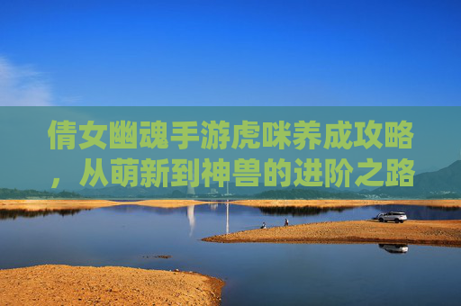 倩女幽魂手游虎咪养成攻略，从萌新到神兽的进阶之路