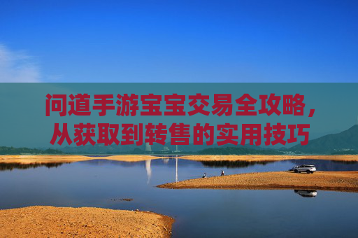 问道手游宝宝交易全攻略，从获取到转售的实用技巧