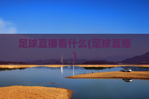 足球直播看什么(足球直播)