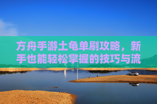 方舟手游土龟单刷攻略,新手也能轻松掌握的技巧与流程解析