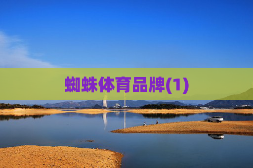 蜘蛛体育品牌(1)