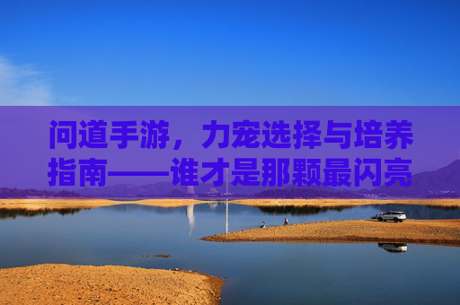 问道手游,力宠选择与培养指南——谁才是那颗最闪亮的星?问道手游,力宠选择与培养指南——谁才是那颗最闪亮的星?