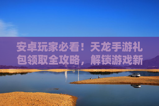安卓玩家必看！天龙手游礼包领取全攻略，解锁游戏新乐趣