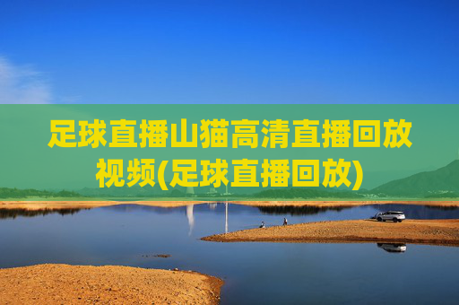 足球直播山猫高清直播回放视频(足球直播回放)