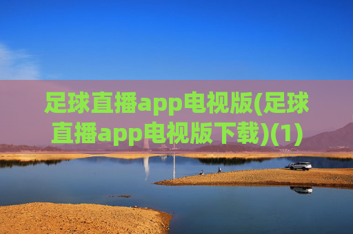 足球直播app电视版(足球直播app电视版下载)(1)