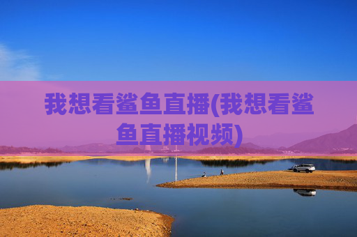 我想看鲨鱼直播(我想看鲨鱼直播视频)