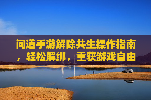 问道手游解除共生操作指南,轻松解绑,重获游戏自由体验