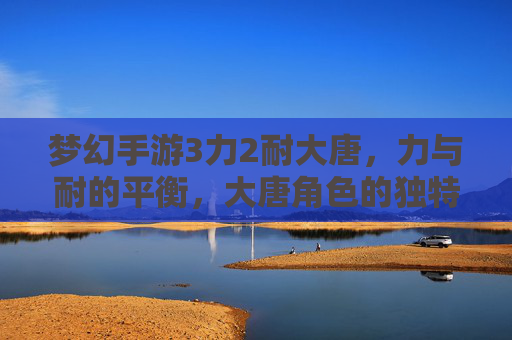 梦幻手游3力2耐大唐，力与耐的平衡，大唐角色的独特魅力与实战策略