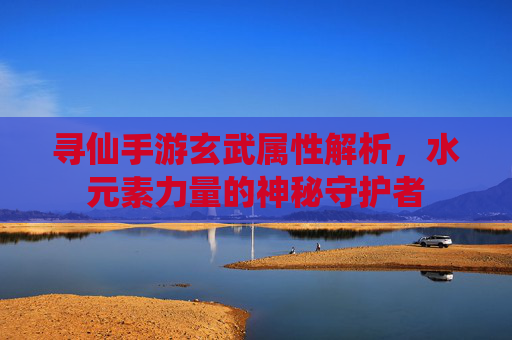 寻仙手游玄武属性解析,水元素力量的神秘守护者