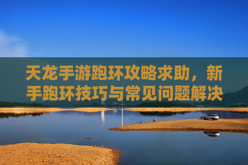 天龙手游跑环攻略求助,新手跑环技巧与常见问题解决指南