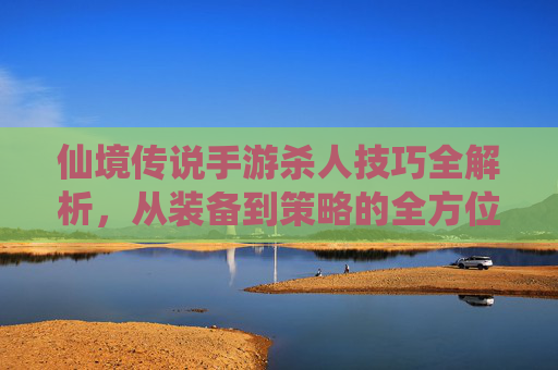 仙境传说手游杀人技巧全解析，从装备到策略的全方位指南