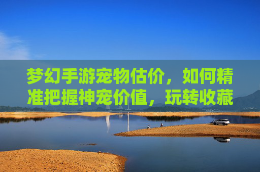 梦幻手游宠物估价，如何精准把握神宠价值，玩转收藏与交易