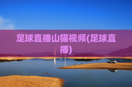 足球直播山猫视频(足球直播)