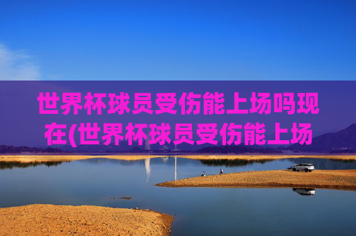 世界杯球员受伤能上场吗现在(世界杯球员受伤能上场吗现在怎么样)