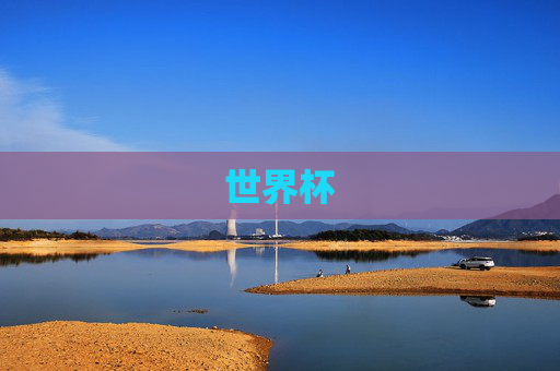 世界杯